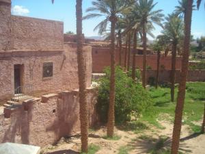 أحياء القصر القديم لمدينة  تيوت  3