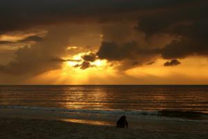 La Grande Plage à Orand