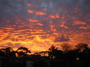 Cieux Enflammés à Oran