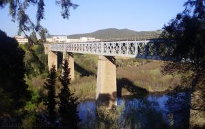 الجسر العابر لوادي  أمال