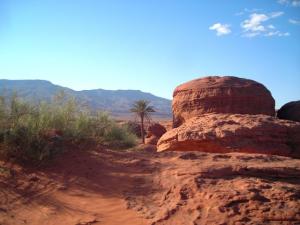 صورة لجبل  تيوت