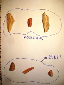 بقايا عظام من العصر الحجري ببلدية  تيوت