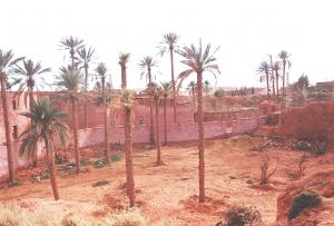 صورة لقصر  تيوت