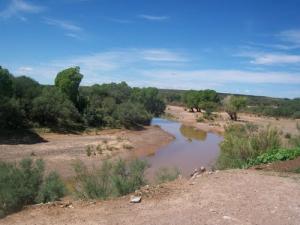 Paysage dans la périphérie d'Oran