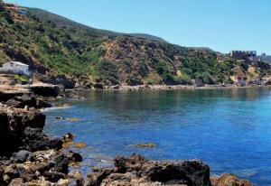 La Côte de Ain Franin à Oran