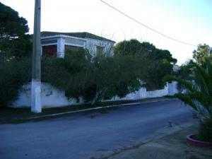 Au coins du n°118 Bd des Falaises Canastel (Oran)