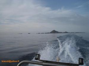 Retour des es Iles Habibas