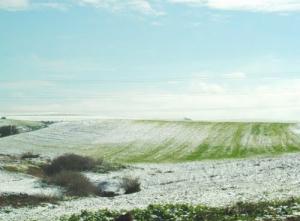 Superbe panorama neigeux aux environs de Oued Tlelat-Oranie