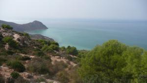 Verdure sur la côte d'Oran