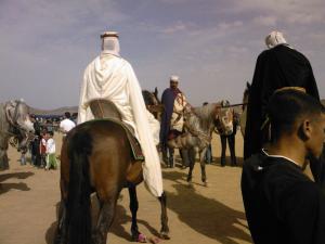 مهرجان فلكلوري بقرية  أولاد الشيخ