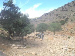 جولة بضواحي جبل  عين عيسى  (بلدية تيوت)