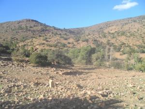 جبل  عين عيسى  (بلدية تيوت)