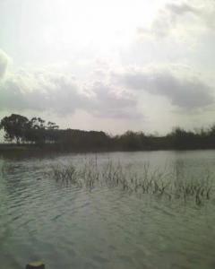 Lac de Sidi Chahmi (Oran)
