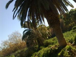 Parc de la Cité Ahmed Zabana (Oran)