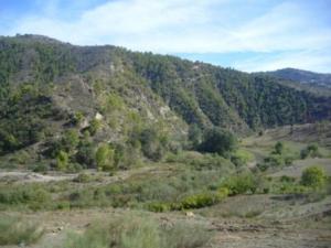 منظر من ضواحي بلدية  المروج  7