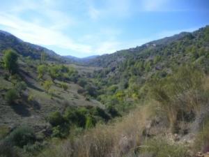 منظر من ضواحي بلدية  المروج  11