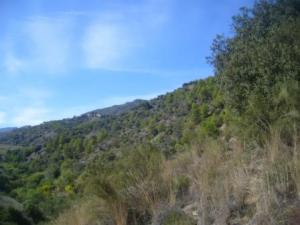 منظر من ضواحي بلدية  المروج  12