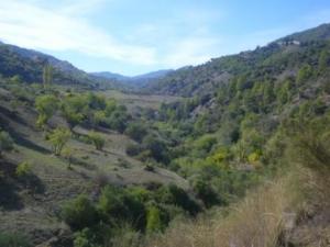 منظر من ضواحي بلدية  المروج  13