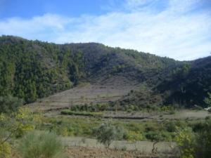 منظر من ضواحي بلدية  المروج  14