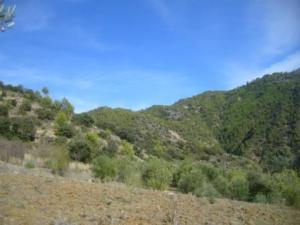 منظر من ضواحي بلدية  المروج  15