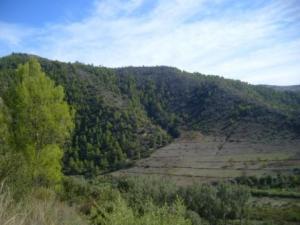 منظر من ضواحي بلدية  المروج  18