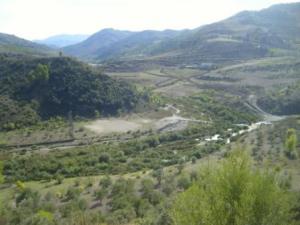 منظر خلاب من غابات بلدية  المروج