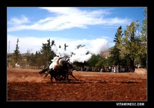 مهرجان فولكلوري بقرية  سيد الجلالي