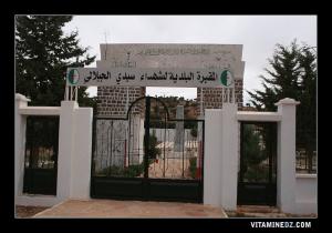 مقبرة الشهداء ببلدية  سيد الجلالي