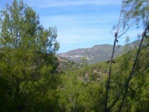 منظر من ضواحي بلدية  المروج  21