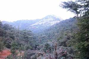 صورة من جبل  شيلية  ببلدية  يابوس  2