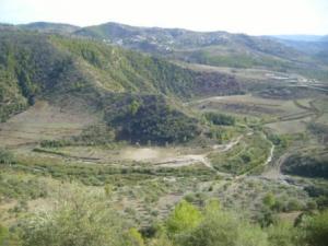 منظر خلاب من غابات بلدية  المروج  33