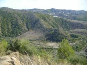 غابات بلدية  المروج  6