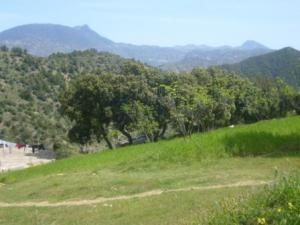 الربيع على بلدية 