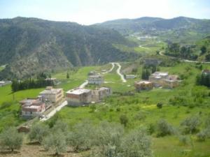 حلول الربيع على بلدية 