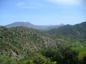 حلول الربيع على بلدية 