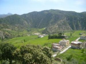 صورة من ضواحي بلدية 