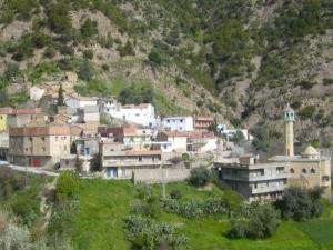 منظر شامل لقرية 