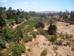 واحات بلدية 