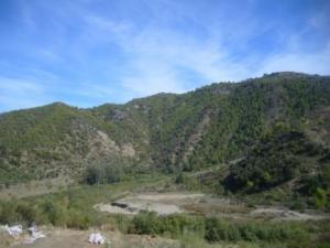 منظر من ضواحي بلدية 