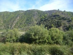 منظر من ضواحي بلدية 