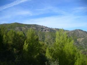 منظر خلاب من غابات بلدية 