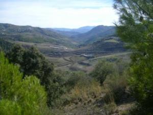 منظر خلاب من غابات بلدية 