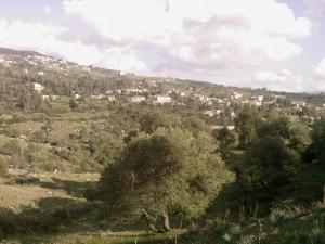 THIMERGAS/ TAGUERCIFT