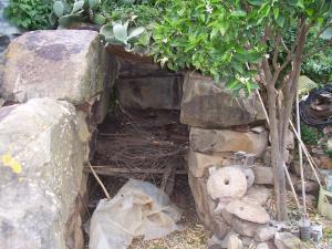 Les Allées couvertes