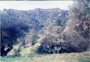 TAREMANT vue d'AHROUR