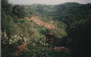 Huilerie d'IKHERBACHENE