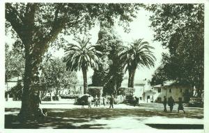 Hologe (Place  Carnot )