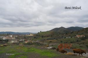 Village de Beni-Mileuk,décembre 2008