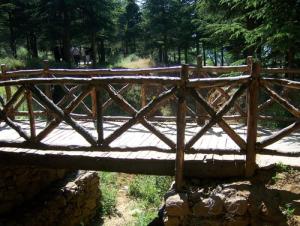 Mascouni Ben chicao médéa