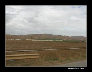 Agriculture à El Abania ex Carnot